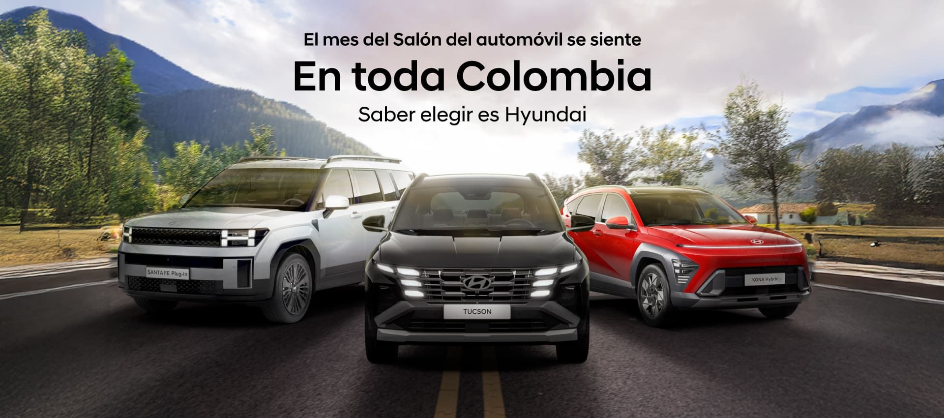 hyundai vehiculos